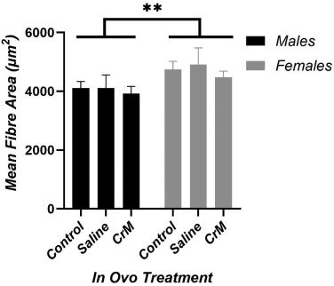 Figure 7. Mean fiber area (μm2) of breast muscle tissue of Ross 308 broiler chickens at d 42 given an in ovo injection at embryonic d 14; Control) non-injected control group; Saline) 0.75% saline solutioninjected control group; CrM) 8.16 mg Creatine monohydrate (CrM)/ 0.75% saline solution-injected group. Error bars are § SEM. ** denotes highly statistical significance between male and female birds (P < 0.001).