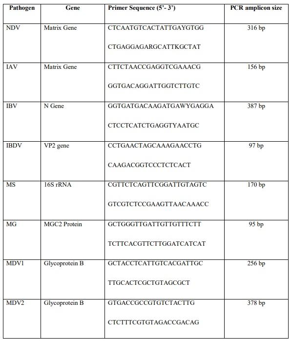 Poor biosafety and biosecurity practices and haphazard antibiotics usage in poultry farms in Nepal hindering antimicrobial stewardship - Image 2