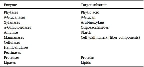 A systematic-review on the role of exogenous enzymes on the productive performance at weaning, growing and finishing in pigs - Image 1