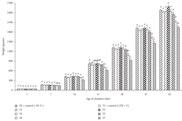 Effects of Nigella sativa on Performance, Blood Profiles, and Antibody Titer against Newcastle Disease in Broilers - Image 3
