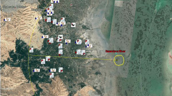 Monitoring of aquatic birds and surveillance of avian influenza and Newcastle disease of waterfowls at the National Park of Urmia Lake - Image 8