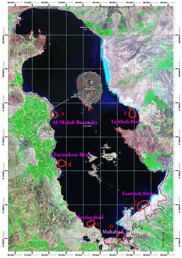 Monitoring of aquatic birds and surveillance of avian influenza and Newcastle disease of waterfowls at the National Park of Urmia Lake - Image 1