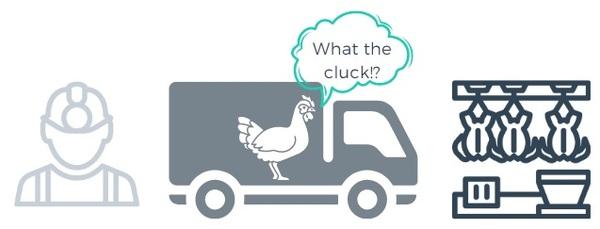 Tryptophan: The link between poultry welfare & nutrition - Image 6