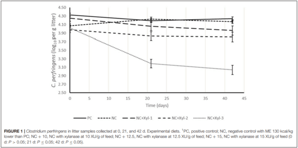 The Effect of a Modified GH11 Xylanase on Live Performance, Gut Health, and Clostridium perfringens Excretion of Broilers Fed Corn-Soy Diets - Image 5