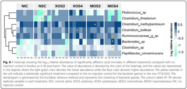 Effects of in ovo delivered xylo- and mannan- oligosaccharides on growth performance, intestinal immunity, cecal short-chain fatty acids, and cecal microbiota of broilers - Image 14