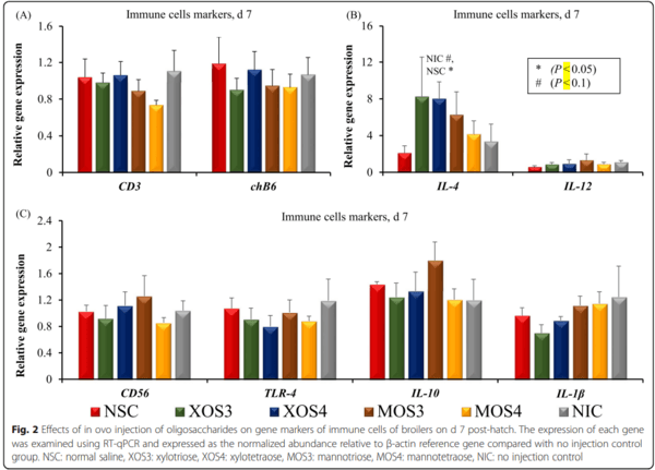 Effects of in ovo delivered xylo- and mannan- oligosaccharides on growth performance, intestinal immunity, cecal short-chain fatty acids, and cecal microbiota of broilers - Image 8