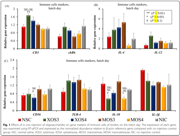 Effects of in ovo delivered xylo- and mannan- oligosaccharides on growth performance, intestinal immunity, cecal short-chain fatty acids, and cecal microbiota of broilers - Image 7