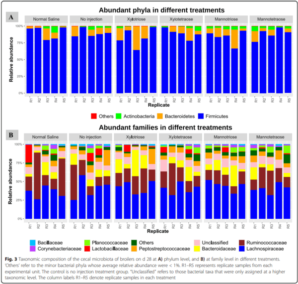 Effects of in ovo delivered xylo- and mannan- oligosaccharides on growth performance, intestinal immunity, cecal short-chain fatty acids, and cecal microbiota of broilers - Image 9