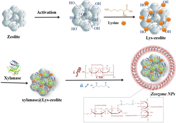 Zeolite-based nanocomposite as a smart pH-sensitive nanovehicle for release of xylanase as poultry feed supplement - Image 1