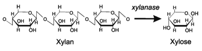 Zeolite-based nanocomposite as a smart pH-sensitive nanovehicle for release of xylanase as poultry feed supplement - Image 1