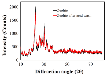 Zeolite-based nanocomposite as a smart pH-sensitive nanovehicle for release of xylanase as poultry feed supplement - Image 1