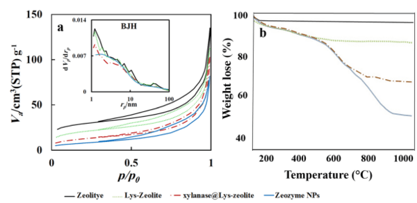 Zeolite-based nanocomposite as a smart pH-sensitive nanovehicle for release of xylanase as poultry feed supplement - Image 6