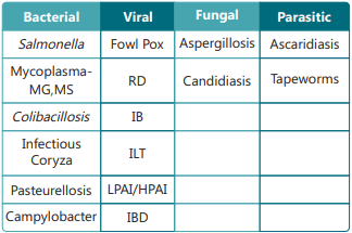 Systemic Enzymes: A Cover Against Heat Stress - Image 2