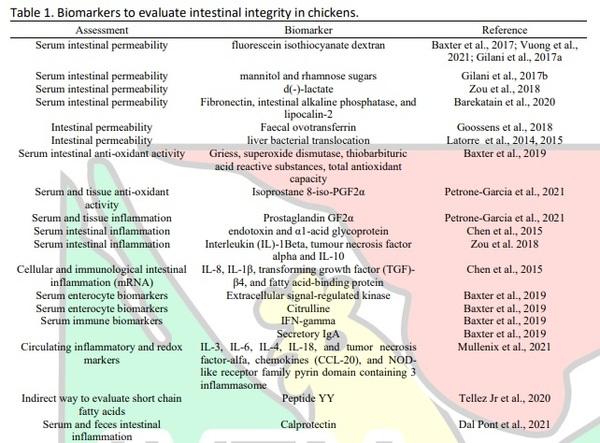 Chronic Stress, Chronic Inflammation, and Mitochondrial Dysfunction: The Silent Killers - Image 1