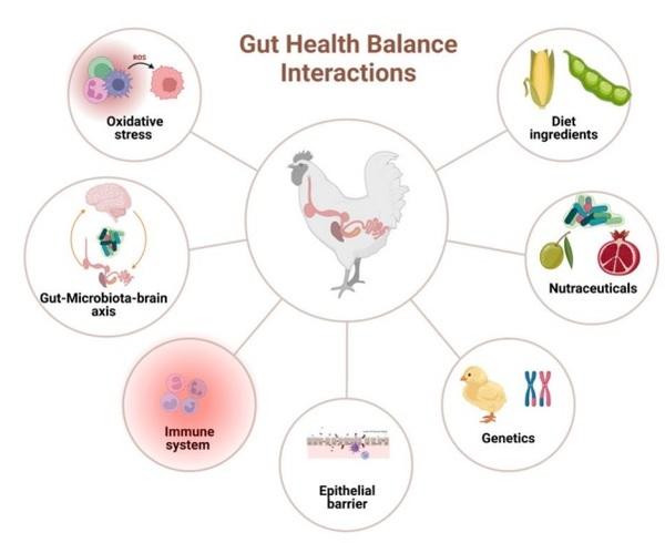 Chronic Stress, Chronic Inflammation, and Mitochondrial Dysfunction: The Silent Killers - Image 1