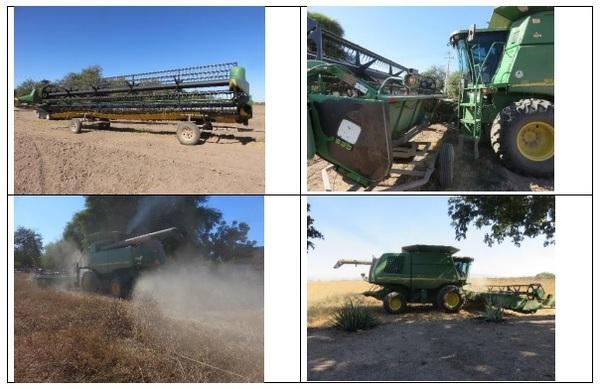 Photographic demonstration to stablish wheat on guar Cyamopsis tetragonoloba with agricultural irrigation, implementing a technological package using sustainable agronomic practices - Image 3