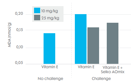 Figure 2. Effect of vitamin E and Selko® AOmix on oxidative challenge levels in broilers under challenged conditions. MDA levels measured in meat.
