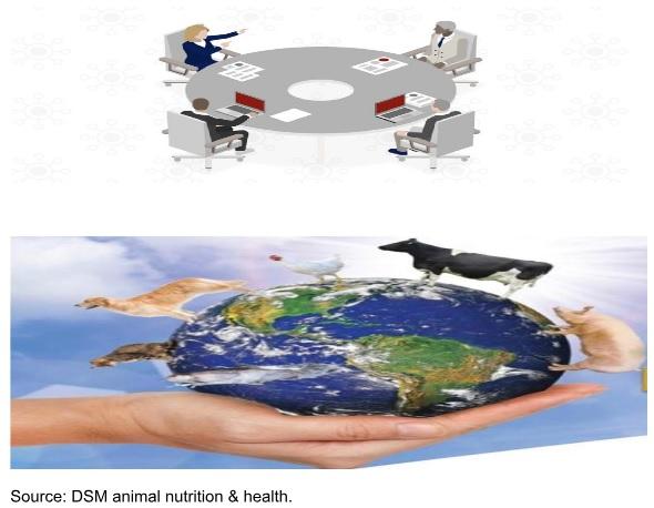 Animal Nutrition, A Modern Approach - Image 1