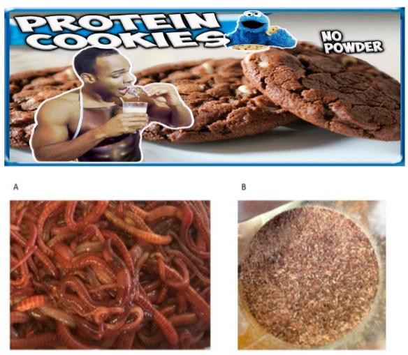 Animal Nutrition, A Modern Approach - Image 8