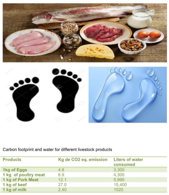 Animal Nutrition, A Modern Approach - Image 3