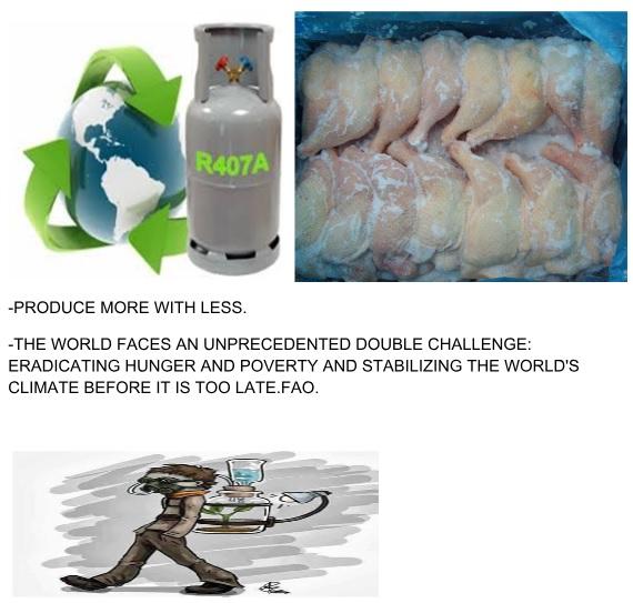 Animal Nutrition, A Modern Approach - Image 13