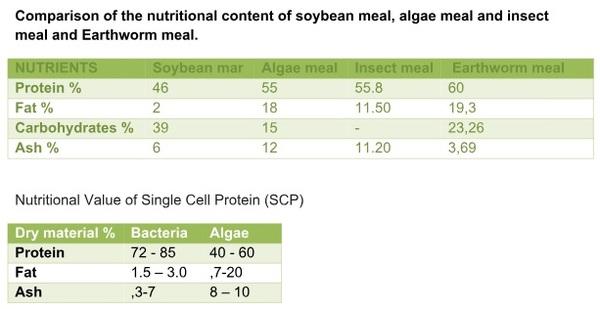 Animal Nutrition, A Modern Approach - Image 11