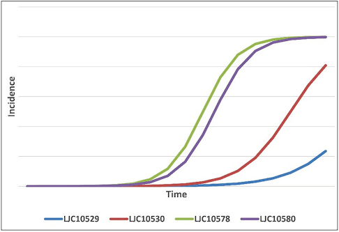 Isolation, Identification, and Determination of the Virulence of the Causal Agents of Corm Rot of Saffron (Crocus sativus L.) in Valle de Uco, Argentina - Image 5