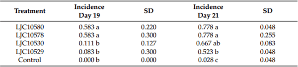 Isolation, Identification, and Determination of the Virulence of the Causal Agents of Corm Rot of Saffron (Crocus sativus L.) in Valle de Uco, Argentina - Image 4