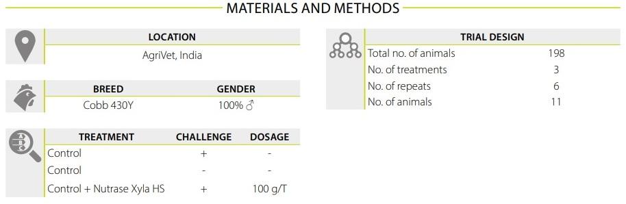 Saving feed cost by reformulating broiler diets with the use of Nutrase Xyla HS - Image 1