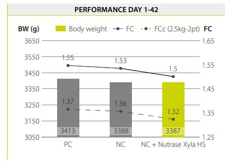 Saving feed cost by reformulating broiler diets with the use of Nutrase Xyla HS - Image 5
