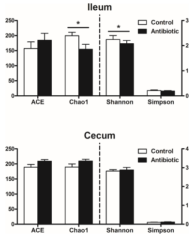 FIGURE 1 | Effects of early antibiotics exposure on the diversity of ileal and cecal bacterial community at the 3% dissimilarity level. The values are expressed as the means ± SEM, with eight piglets per group. Asterisks indicated statistically significant difference from control: ∗P < 0.05, ∗∗P < 0.05.