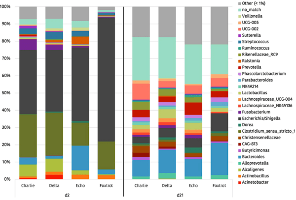 An insight into the commercial piglet’s microbial gut colonization: from birth towards weaning - Image 8