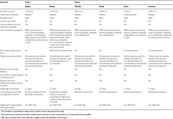 An insight into the commercial piglet’s microbial gut colonization: from birth towards weaning - Image 1
