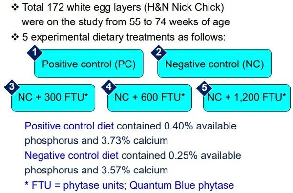 The effects of dietary phosphorus and calcium, and phytase supplementation on production, eggshell and bone quality in laying hens from 55 to 74 weeks of age - Image 1