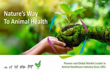 Revolutionizing sustainability and profitability in livestock and poultry production through science-based phytogenic solutions - Image 1