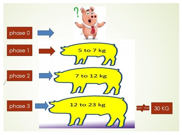 Rations for Early Weaned Pig - Image 10