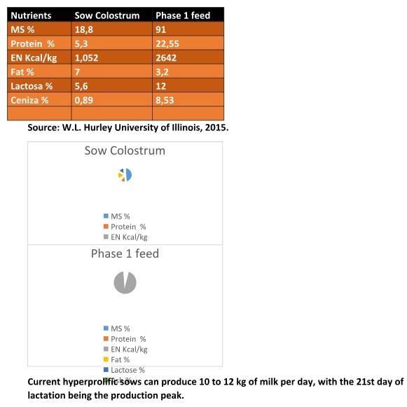 Rations for Early Weaned Pig - Image 2