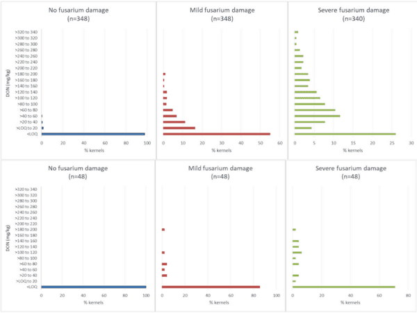 Challenges of sampling grain for mycotoxin analysis - Image 2