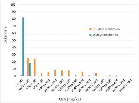 Challenges of sampling grain for mycotoxin analysis - Image 3