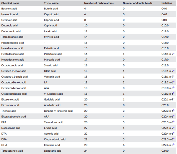 Physiology of lipid digestion and absorption in poultry: An updated review on the supplementation of exogenous emulsifiers in broiler diets - Image 4