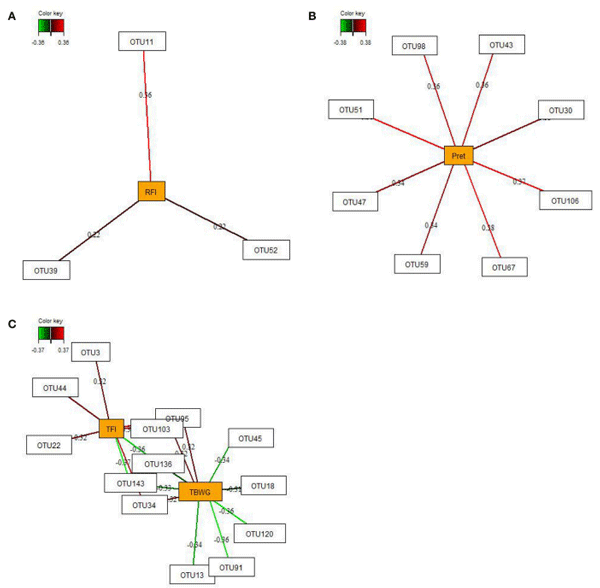 FIGURE 4 | Determination of potential key operational taxonomic units (OTUs) at 29 days post-hatch for (A) residual feed intake (RFI), (B) phosphorus retention (Pret), and (C) performance traits (total feed intake (TFI) and total body weight gain (TBWG) between 9 and 30 days post-hatch) in chickens ranked on RFI and fed either ad libitum or restrictively. Covariations between the relative abundances of bacterial OTUs in the feces and RFI, Pret, and performance traits using sparse partial least squares regression. The OTUs were included in the analysis if they occurred in at least half of the chickens. The network is displayed graphically as nodes (OTUs and Pret, and performance traits) and edges (biological relationships between the nodes), with the edge color intensity indicating the level of the association: red = positive, and green = negative. Only the strongest pairwise associations were displayed, with score threshold depending of the respective association. The association scores are indicated under each edge. The cut-off threshold for the pairwise associations scores were 0.20 (positive and negative) in (A), and 0.30 (positive and negative) in (B,C).