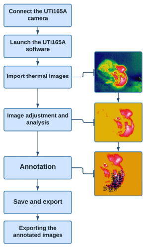 Figure 3. Figure 3. Flowchart of processing and annotation of thermal images via UTi165A.