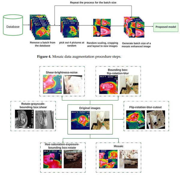 Figure 5. Arrangement of thermal and visual augmented training sets.