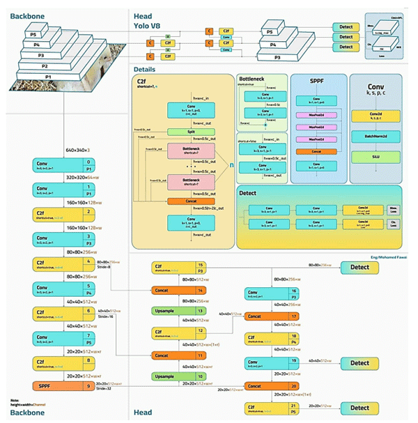 Figure 6. YOLOv8 network architecture includes four generic modules of the input terminal, backbone, head, and prediction.