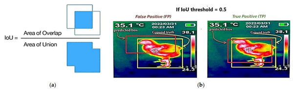 Figure 8. Intersection over Union (IoU), equation (a), bounding box localizations (b). Figure 8. Intersection over Union (IoU), equation (a), bounding box localizations (b).