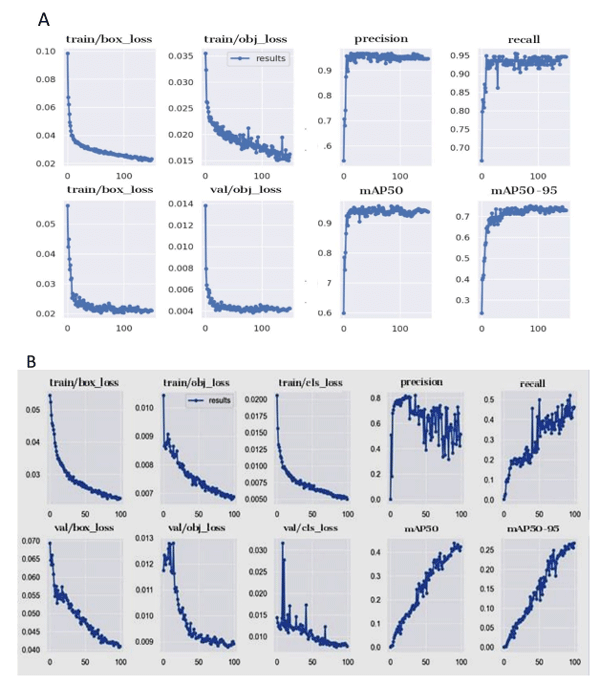 Figure 10. Plots of training and validation sets and performance metrics of YOLOv7-based model for broilers (A) first model (visual-based model) for broiler detection, only at different lighting conditions and (B) second model (thermal-based model) for pathological phenomena identification through raw data (without augmentation process) of thermal images datasets, over 100 of training epochs.