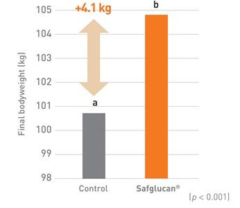 Mitigating the negative impact of Lawsonia intracellularis to improve intestinal resilience and pig performance. - Image 1
