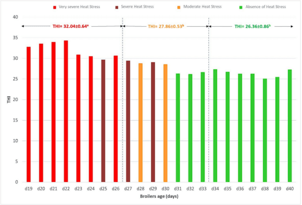 Thermal Comfort, Growth Performance and Welfare of Olive Pulp Fed Broilers during Hot Season - Image 1