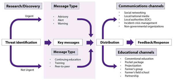 FIGURE 3 | Time-sensitive and time-agnostic paths for communicating about food safety (or other) threats from scientists to the general public.