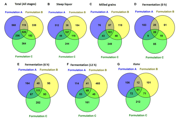 FIGURE 3 | Shared operational taxonomic units between formulations (A) Total (all stages) (B) Steep liquor. (C) Milled grains. (D) Fermentation at 0 h. (E) Fermentation 6 h. (F) Fermentation 12 h. (G) Kunu. Venn diagram was constructed by using the online Venny tool v.2.1. (Oliveros, 2007; http://bioinfogp.cnb.csic.es/tools/venny/).